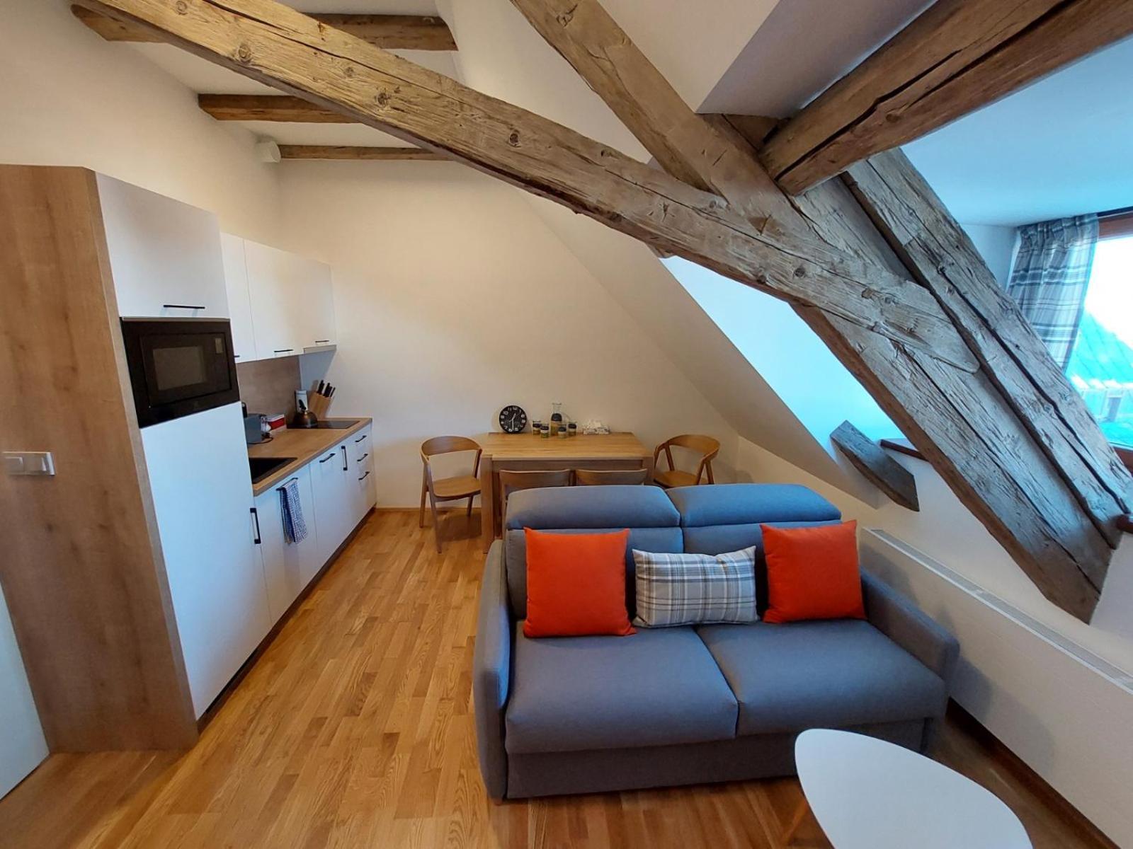 U Pivovaru - Apartments Boží Dar Pokój zdjęcie
